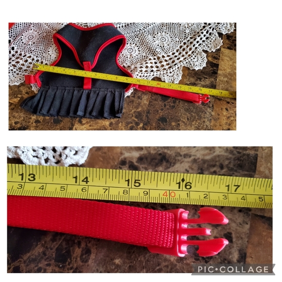 Beautiful, Custom Made Dog Halter - Picture 3 of 4